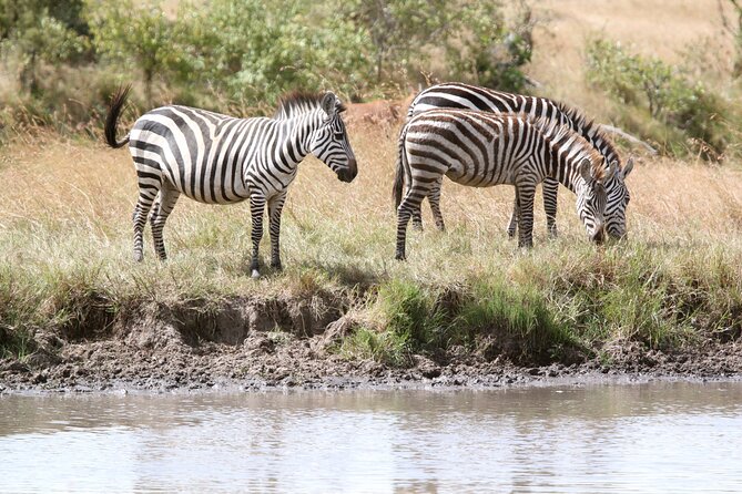 3 Days Amboseli national Park experience. - Day one: the road to Amboseli and an evening game drive