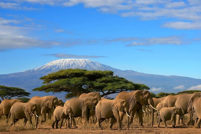 3 Days Amboseli National Park-Lodge Safari with Private 4x4 JEEP - Key points to know before booking