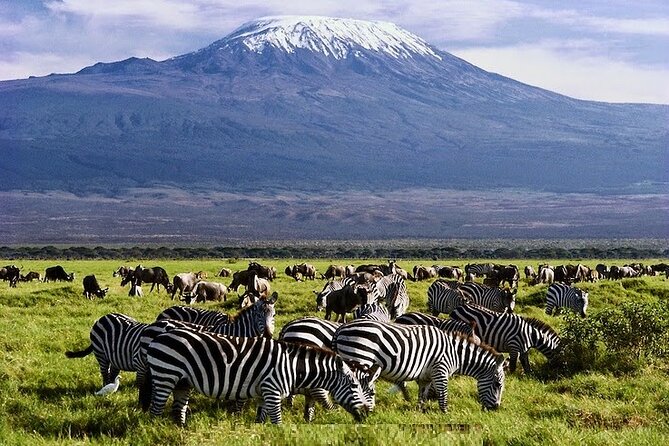 3 Days Amboseli National Park safari - Key things to know before booking