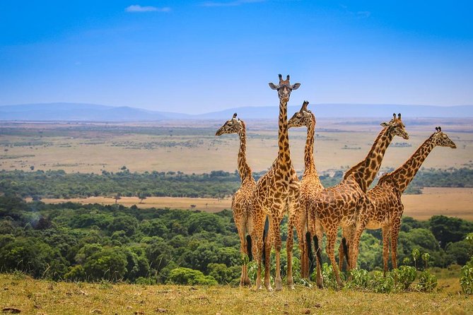 3 Days Amboseli National Park safari - Why Amboseli works so well for a short safari