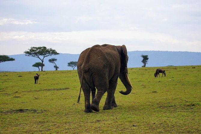 3 Days Amboseli National Park safari - What the $790 price really covers