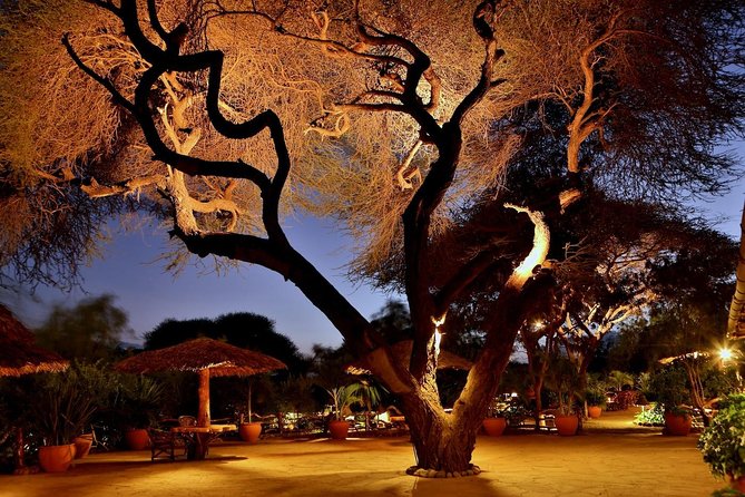 3 Days Amboseli Safari - Key points to know before booking