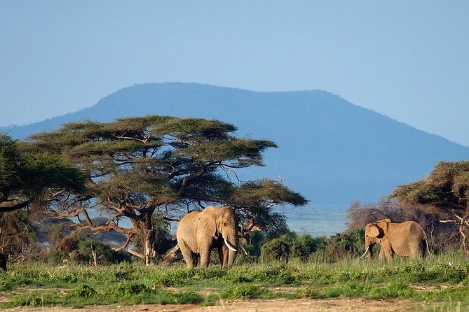 3 Days Amboseli Safari - Practical details for a smoother trip