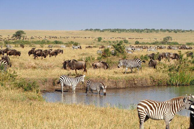 3 Days and 2 Nights Adventure in Masai Mara - Meeting the Masai people