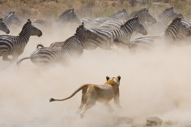 3 Days and 2 Nights Adventure in Masai Mara - Day three: saying goodbye to the reserve