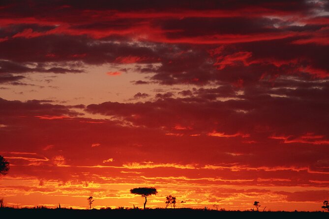3 Days and 2 Nights Adventure in Masai Mara - Day one: from Nairobi to the Great Rift Valley
