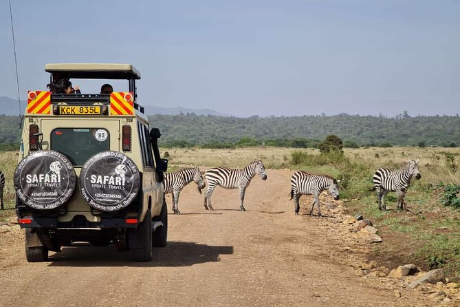 3 Days Best of MasaiMara Wildlife Private Safari, Mid-Range offer - Day 2: Seven hours searching the Mara