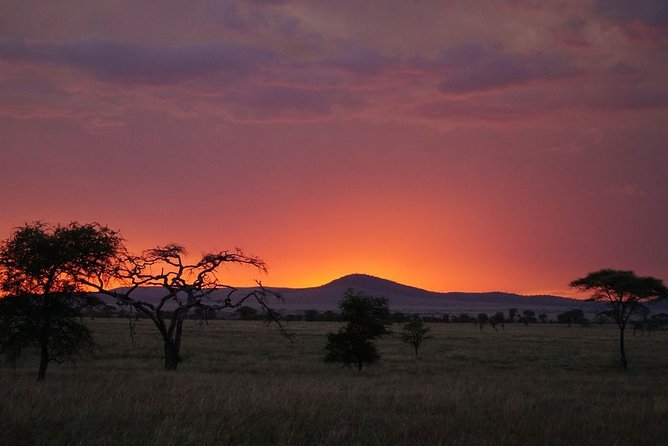 3 Days Budget Masai Mara Safari - Leaving Nairobi Before Sunrise
