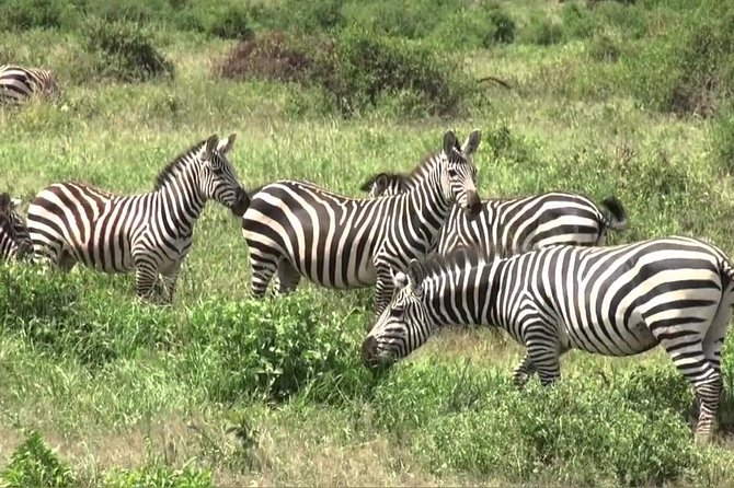 3 days group joining safari to Maasai Mara with a Land Cruiser Jeep - Leaving Nairobi and stopping at the Great Rift Valley viewpoint
