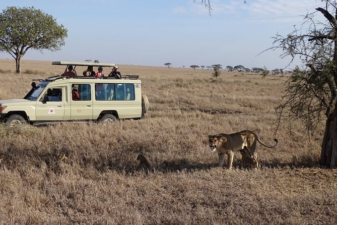 3 days group joining safari to Maasai Mara with a Land Cruiser Jeep - Driver-guides make or break the safari