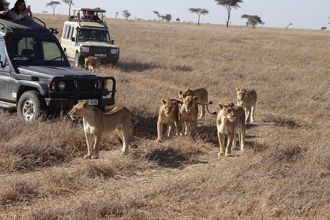 3 days group joining safari to Maasai Mara with a Land Cruiser Jeep - Who will enjoy this safari most