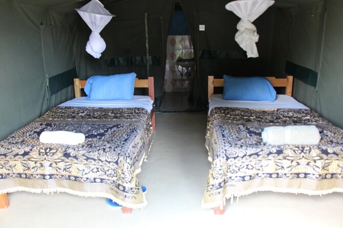 3 days group joining safari to Masai Mara with a Land CruiserJeep - Is $217 good value?