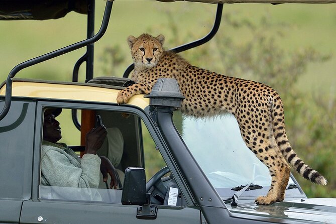 3-Days Maasai Mara Camping Safari on 4x4 Land Cruiser Jeep - Key points to know before booking