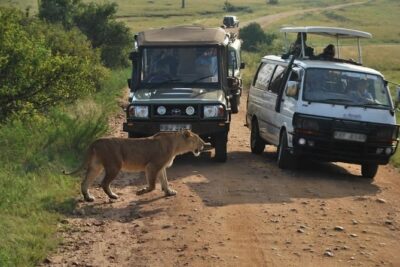 3-Days Maasai Mara Camping Safari on 4×4 Land Cruiser Jeep