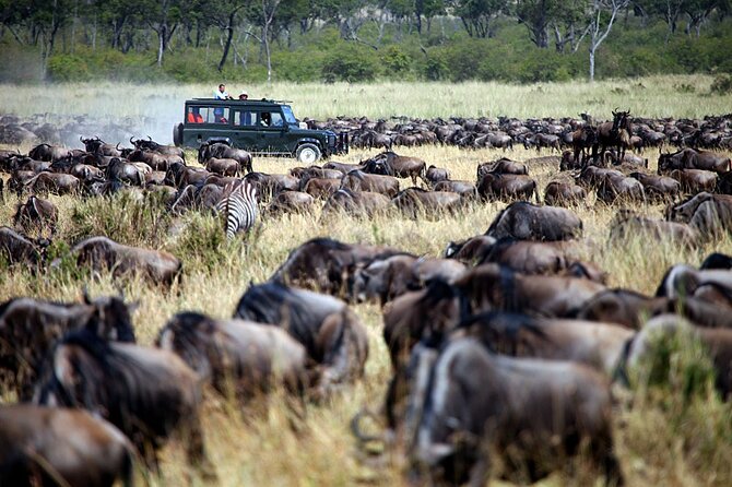 3-Days Maasai Mara Camping Safari on 4x4 Land Cruiser Jeep - Lenchada Tourist Camp after the first game drive