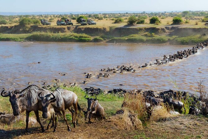 3-Days Maasai Mara Camping Safari on 4x4 Land Cruiser Jeep - The full-day search for the Big Five