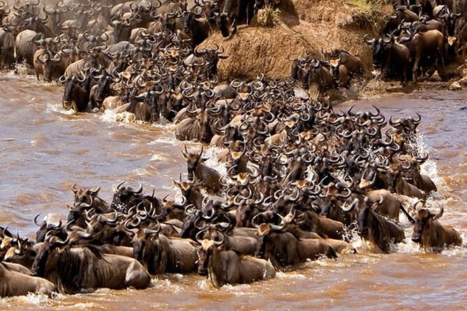 3-Days Maasai Mara Camping Safari on 4x4 Land Cruiser Jeep - The optional balloon safari at $450