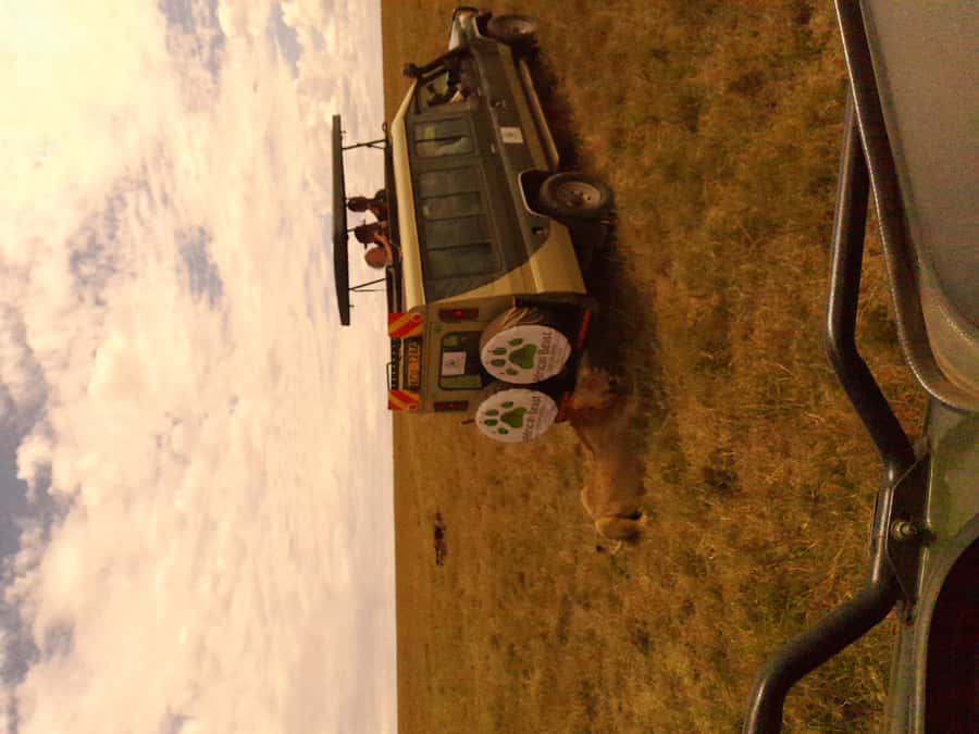 3 Days Maasai Mara Group Safari using a 4x4 Landcruiser - Leaving Nairobi for the Great Rift Valley