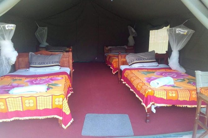 3 Days Maasai Mara Guided Safari from Nairobi - Day two: the long search for lions, leopards, and cheetahs