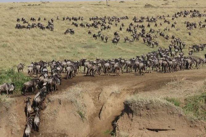 3 Days Maasai Mara Guided Safari from Nairobi - Day three: a cultural stop before Nairobi