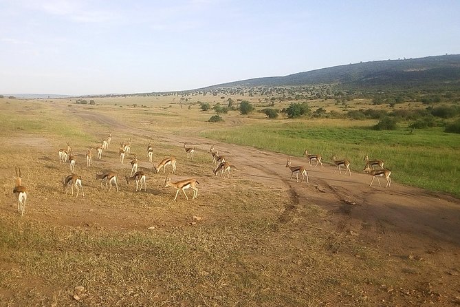 3 Days Maasai Mara Luxury Camping - Visiting a Maasai village