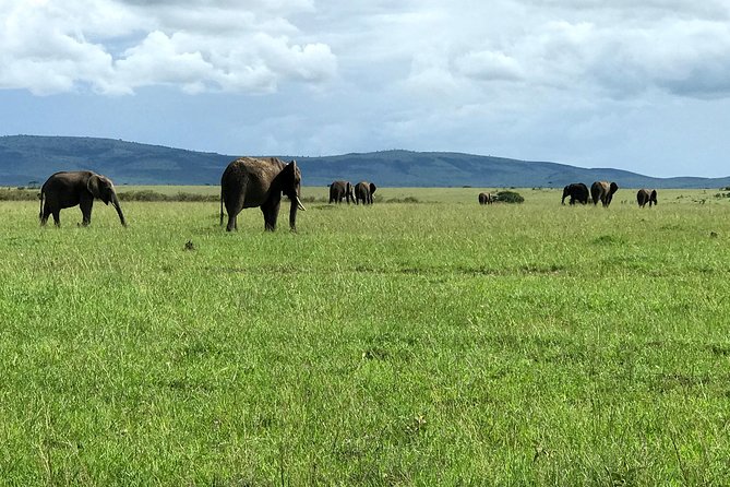 3 Days Maasai Mara Luxury Camping - What luxury camping may mean here