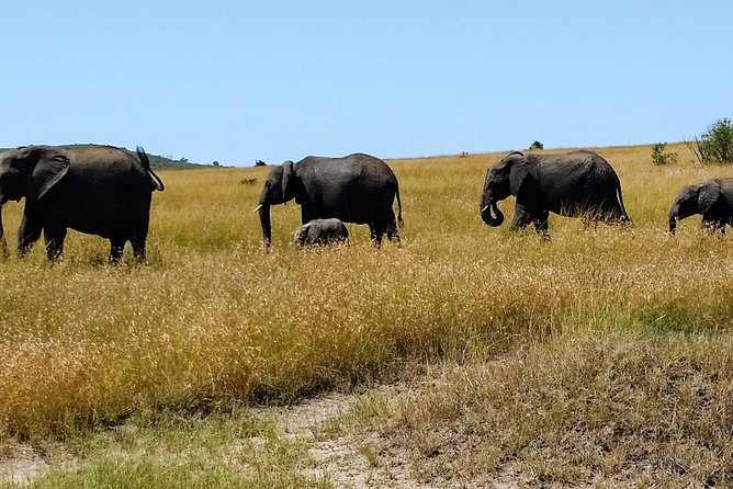 3 Days Maasai Mara Luxury Camping - Day one: the long road to Maasai Mara