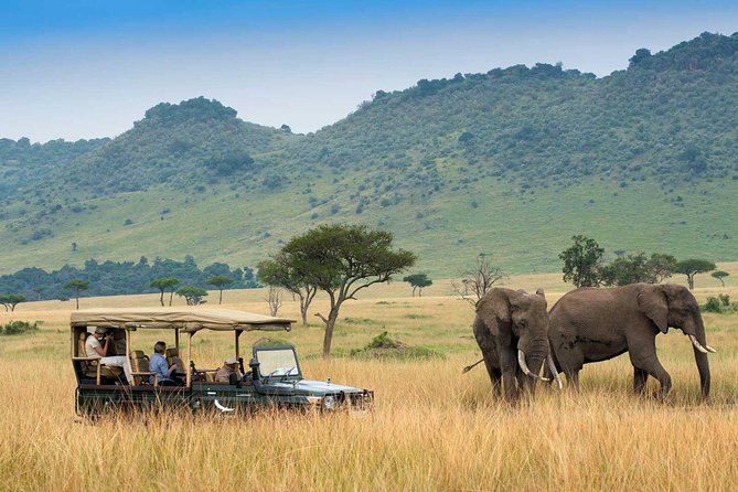 3 days Maasai Mara Luxury Safari - Food, drinks, and what is really included