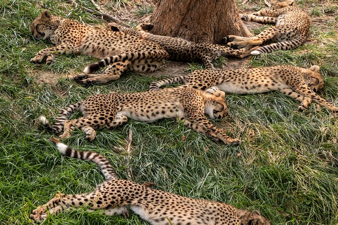 3 days maasai mara migration safari - From Nairobi to the Great Rift Valley viewpoint