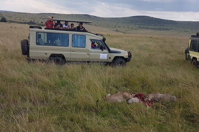 3 Days Maasai Mara Private Safari - Day 3: One last game drive before Nairobi