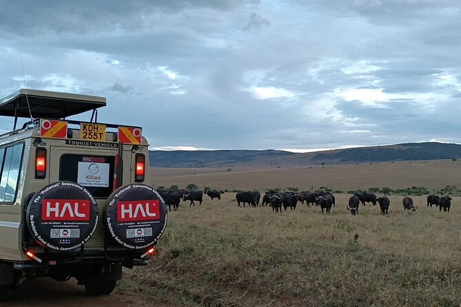 3 Days Maasai Mara Private Safari - When to go for wildlife and migration