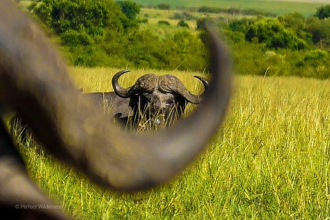 3 days Maasai Mara private safari at Sopa Lodge from Nairobi - Two nights at Sopa Lodge and the meal plan