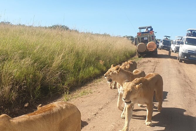 3 Days Maasai Mara Private Safari to Keekorok Lodge from Nairobi - Returning to Nairobi on day three