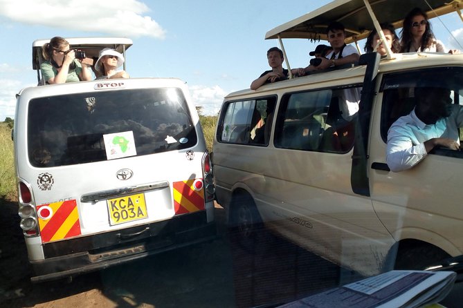 3 days Maasai Mara safari from Nairobi - Why Three Days Is the Right Short-Safari Length
