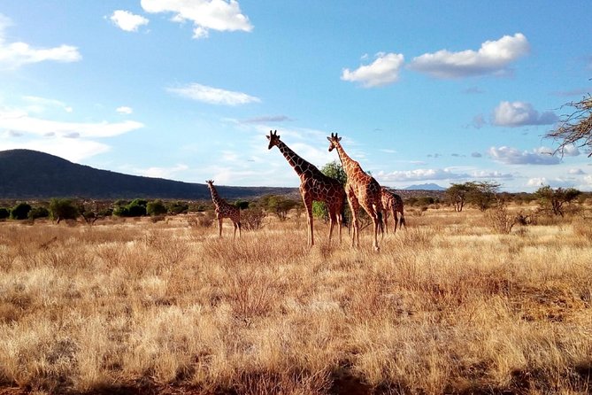 3 days Maasai Mara safari from Nairobi - The Mara River Stop and What It Adds
