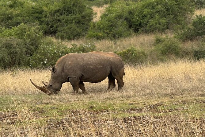 3 Days Maasai Mara Safari With Special Rates - Day Three: Returning to Nairobi After the Safari