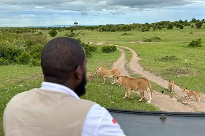 3 Days Maasai Mara Safari With Special Rates - Price, Meals, and What You Still Pay For
