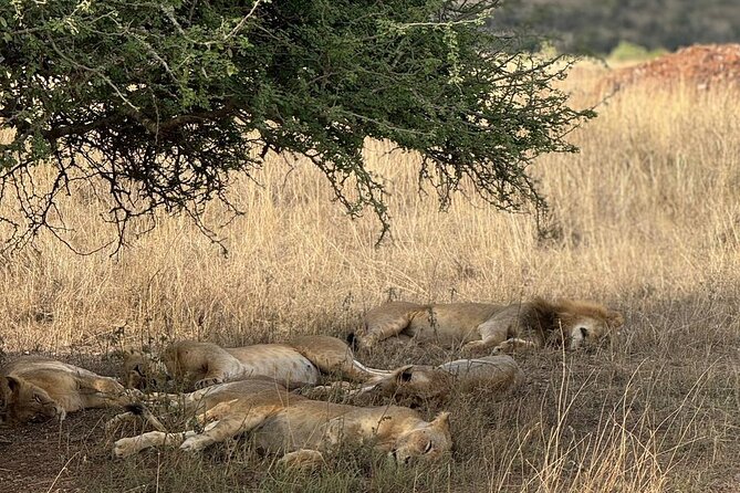 3 Days Maasai Mara Safari With Special Rates - Day One: The Great Rift Valley and the Road to the Mara