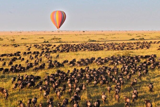 3 Days Maasai Mara Safari - Reaching the Maasai Mara in the afternoon