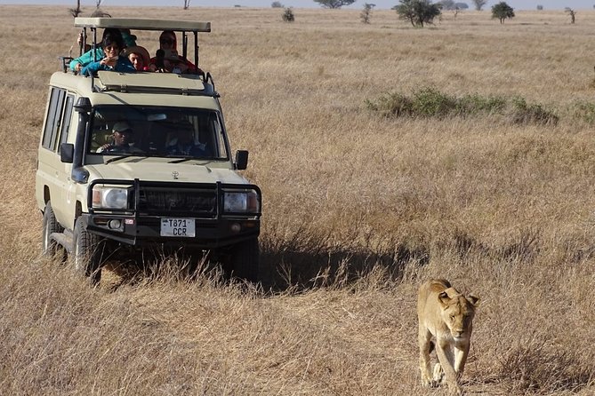3 Days Maasai Mara Small Group Safari in a 4 x4 Land Cruiser Jeep - Key things to know before booking