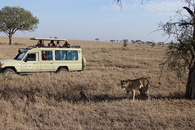 3 Days Maasai Mara Small Group Safari in a 4 x4 Land Cruiser Jeep - Day One: Nairobi, the Great Rift Valley, and the first Mara game drive