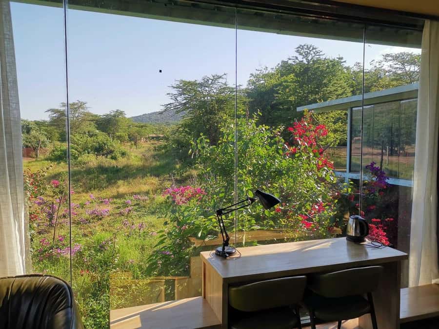 3 Days Maasai Mara Small Group Safari- Jambo Mara Lodge - Should you book the Jambo Mara Lodge safari?