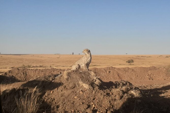 3-Days Maasai Mara unforgettable Adventure- Jeep Private Safari - What the $1,892.31 price includes