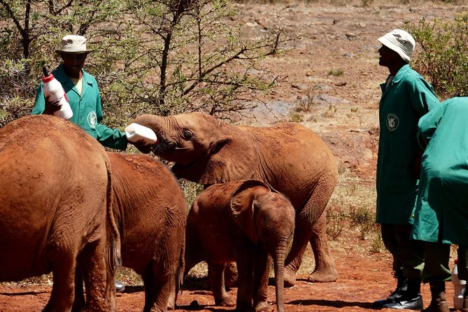 3 days Maasai Mara wildebeest migration safari - Day 1: From Nairobi through Narok to the reserve