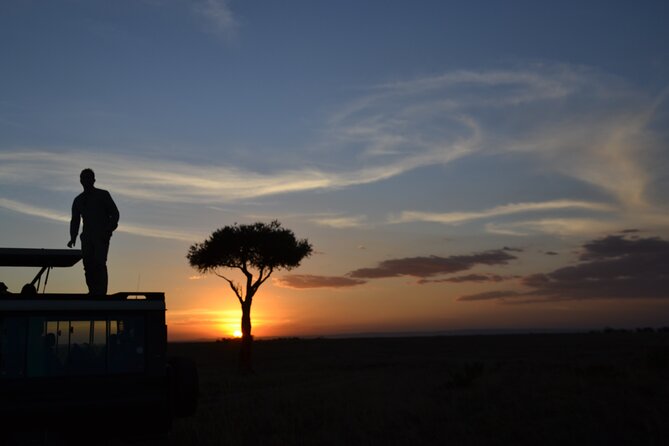 3 Days Magical Maasai Mara Private Tour - Why a private Maasai Mara safari works well