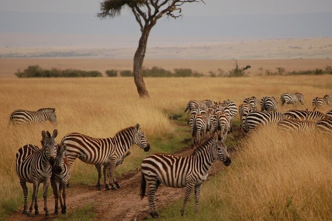 3 Days Mara Jambo Shared Safari Adventure - Leaving Nairobi for the Great Rift Valley