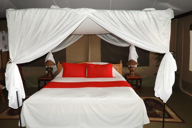 3 days Masai Mara - Key points to know before booking