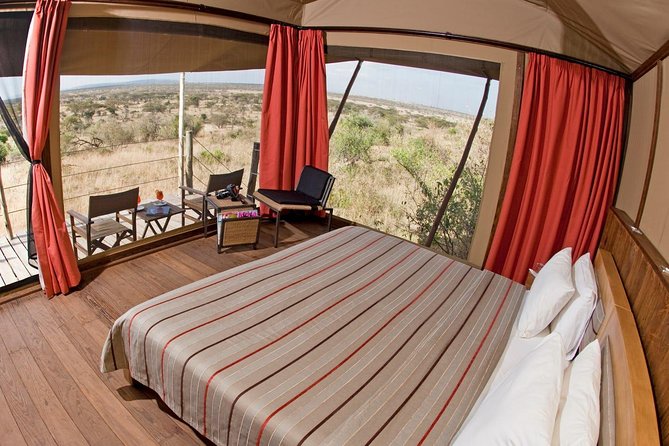 3 Days Masai Mara Budget Camping Safari Experience - Is $1,145 Good Value for a Budget Safari?