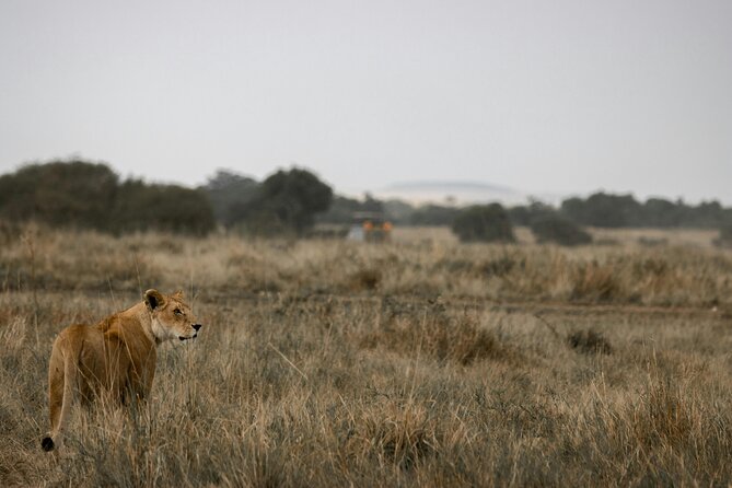 3 Days Masai Mara Budget Cruiser Shared Safari & Maasai Village - What the $250 price really covers
