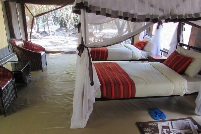 3 Days Masai Mara Budget Safari - Day two: a full day among the animals